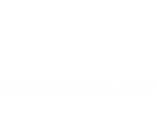 swords-logo